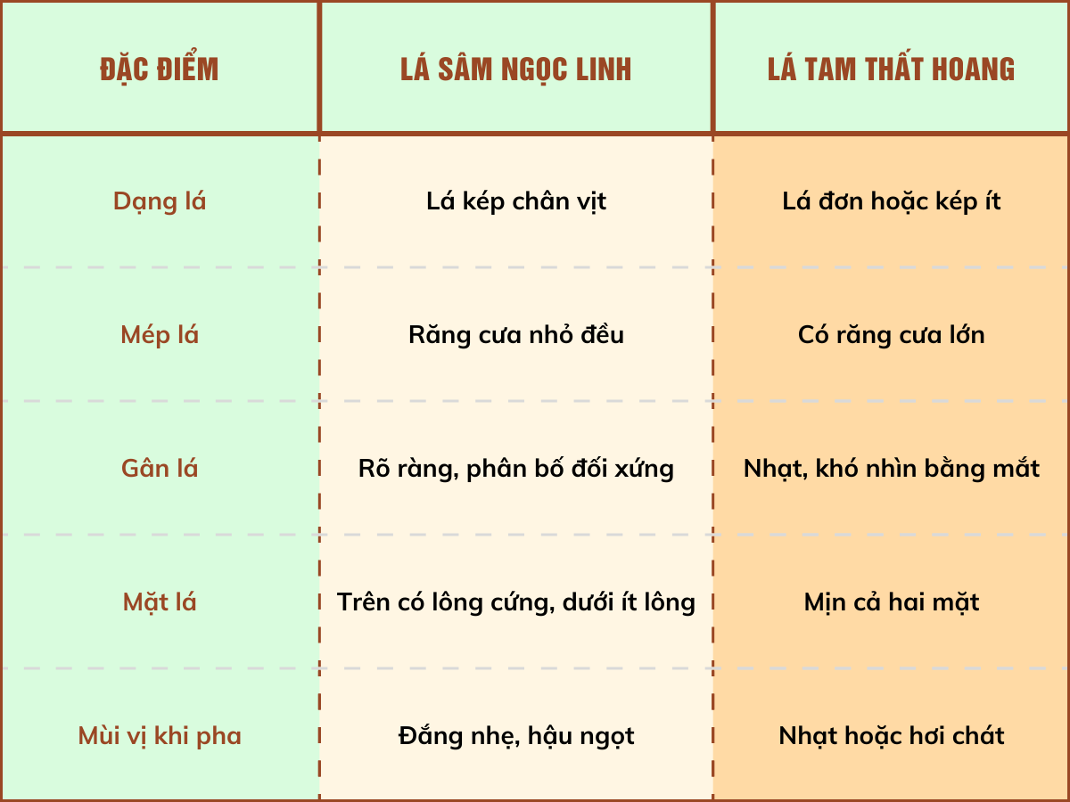 Lá sâm Ngọc Linh TRIMICO